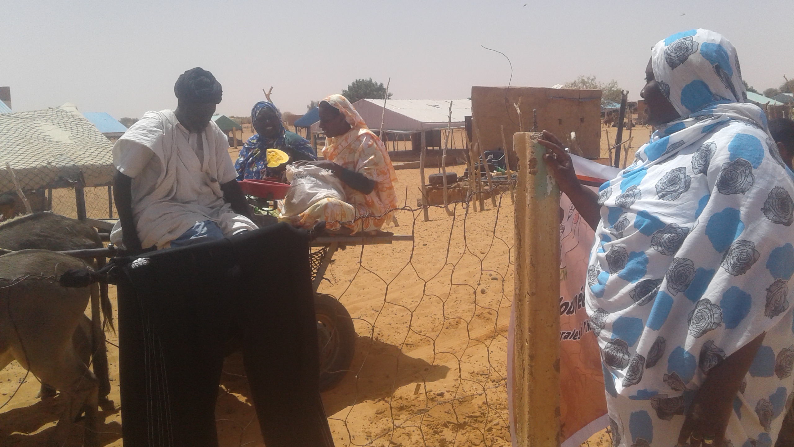 Projet de renforcement de la résilience des Agropasteurs du village de Zreg Ainou Face aux changements climatiques AMCC/SGPFEM/PNUD